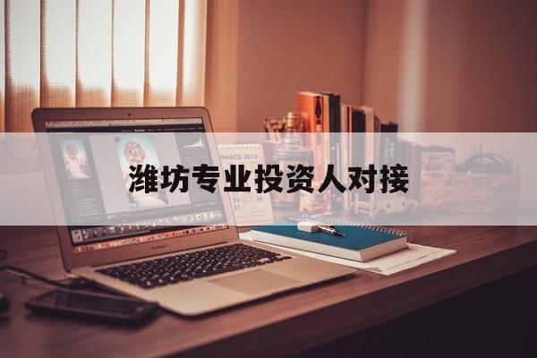 雅安市潍坊专业投资人对接(潍坊专业投资人对接中心)