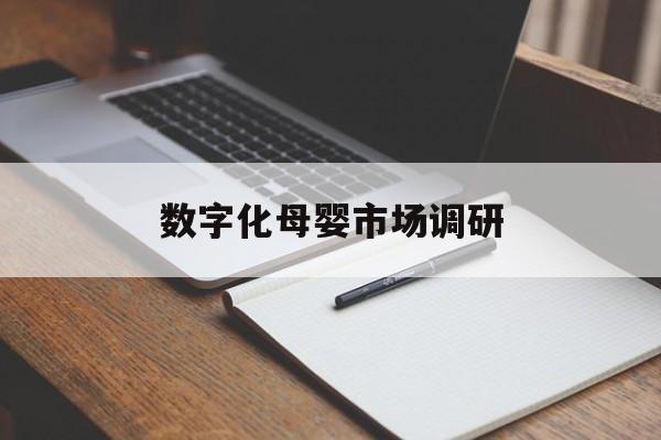 雅安市数字化母婴市场调研(数字化母婴市场调研报告)